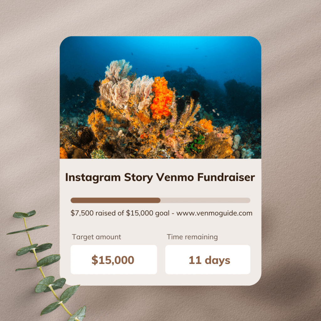 Create Instagram Story Venmo Fundraiser Donation Template 2023
